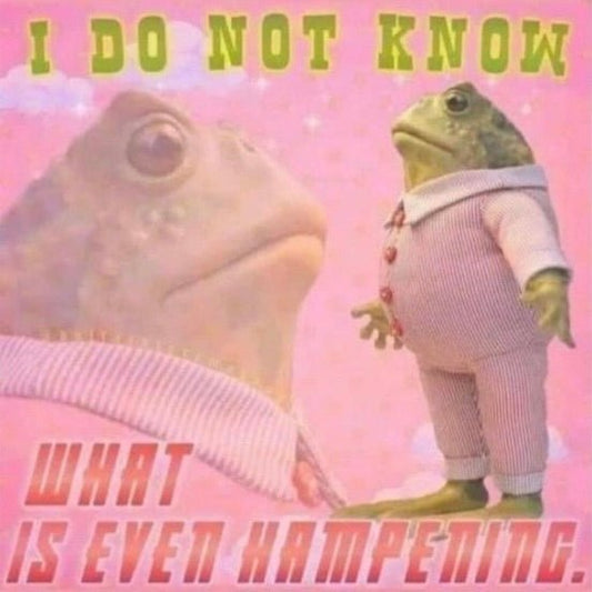 I do not know what is even happening, and here's what's transpired since hanging out with my Trump-loving neighbors after the election - Lumenrose