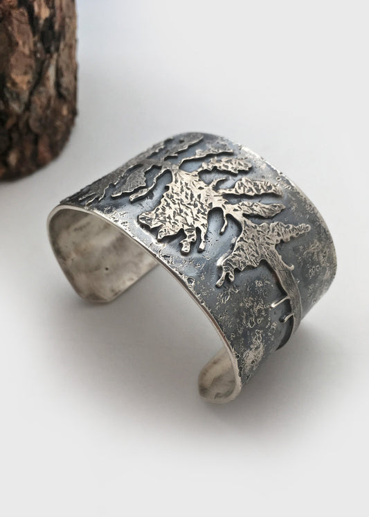 The Ponderosa Pine - Lumenrose