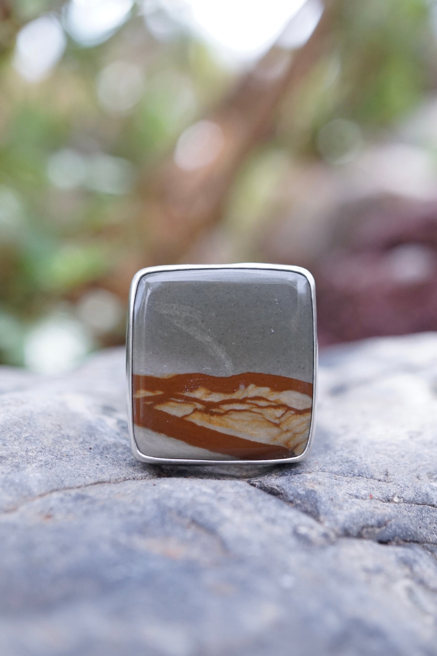 oregon landscape jasper ring with 🤍 band - 9.25/9.5