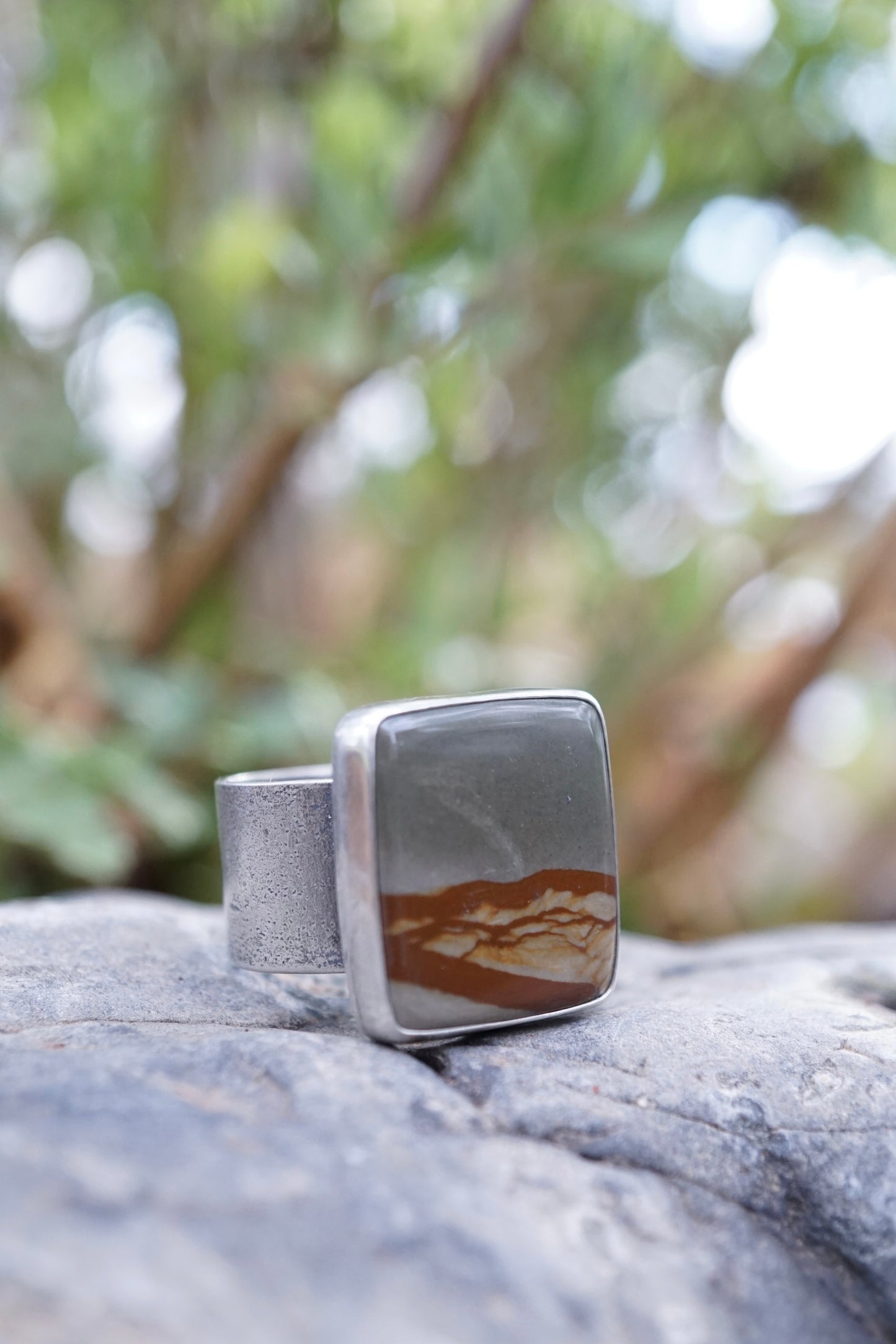 oregon landscape jasper ring with 🤍 band - 9.25/9.5
