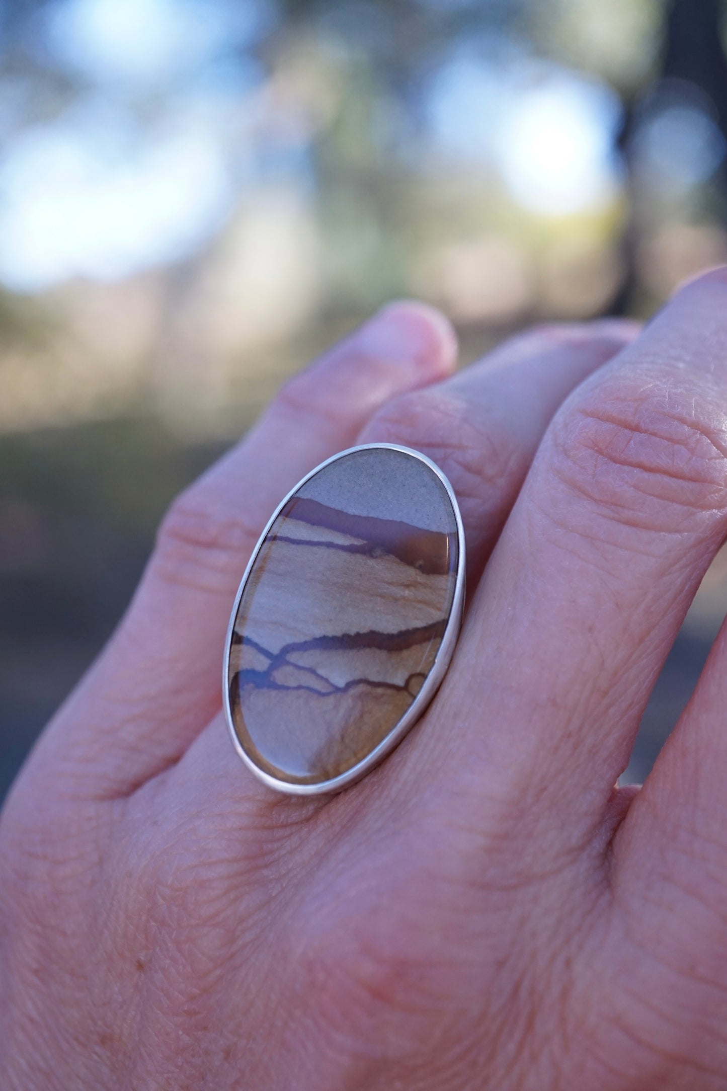 landscape jasper ring with 🩶 band - 5.75