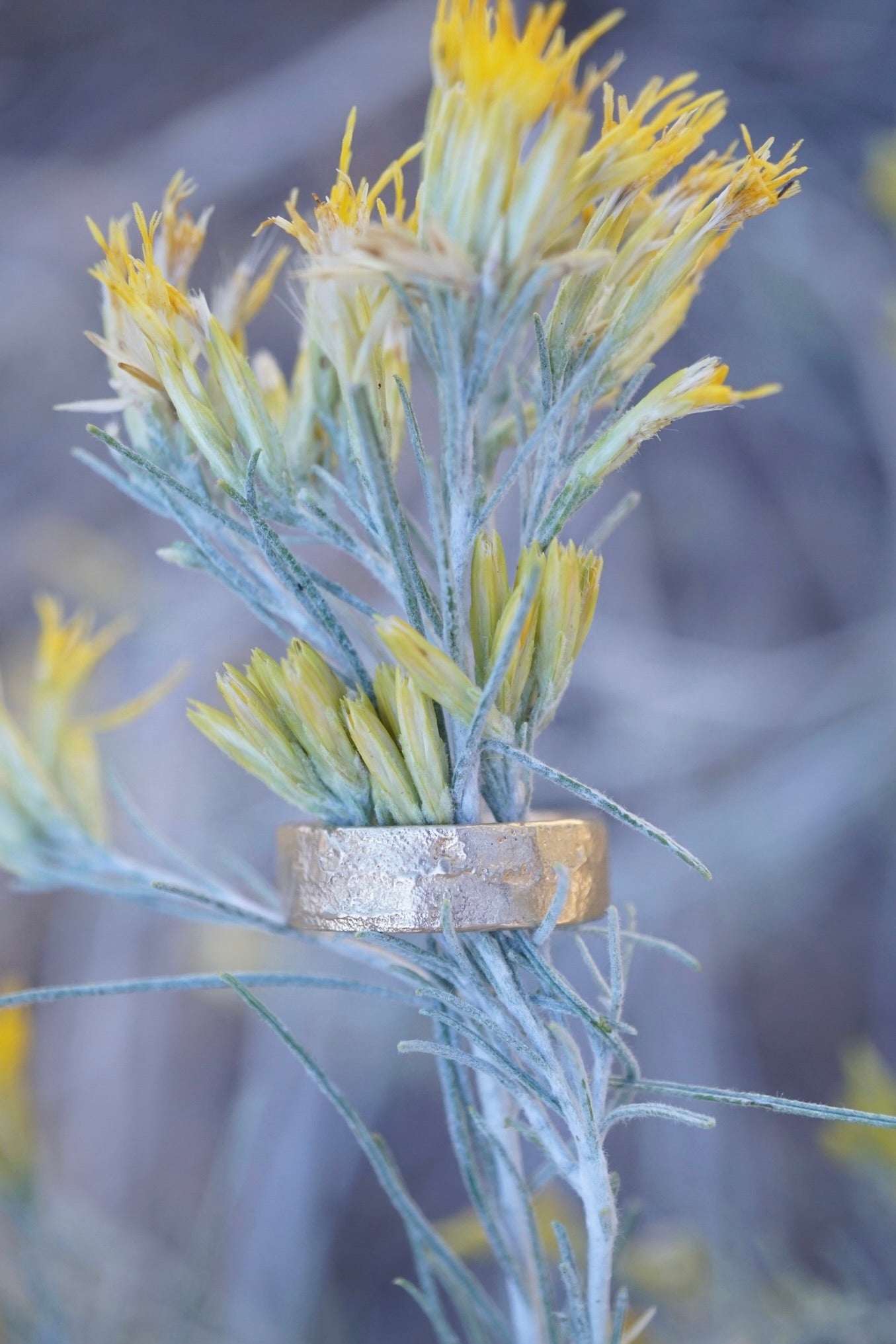 the rugged grace ring in 18k GOLD - Lumenrose