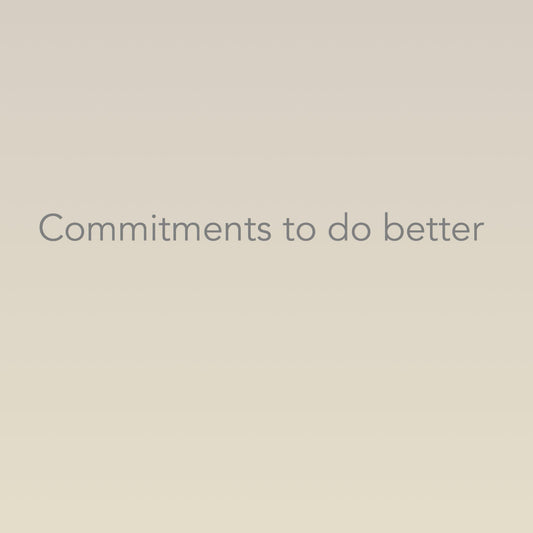 Commitments to do better - Lumenrose