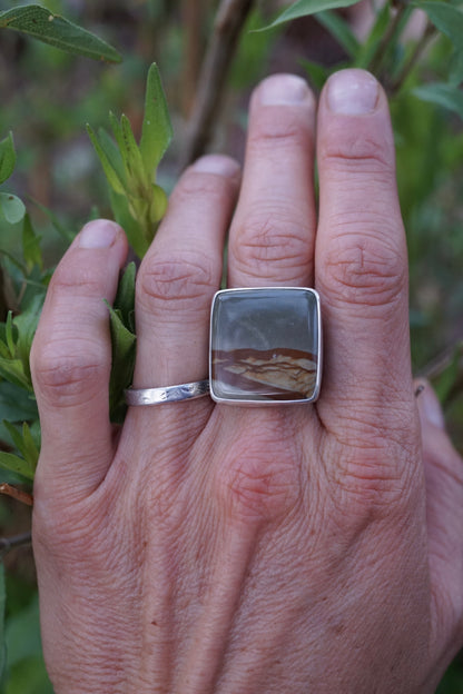 oregon landscape jasper ring with 🤍 band - 9.25/9.5