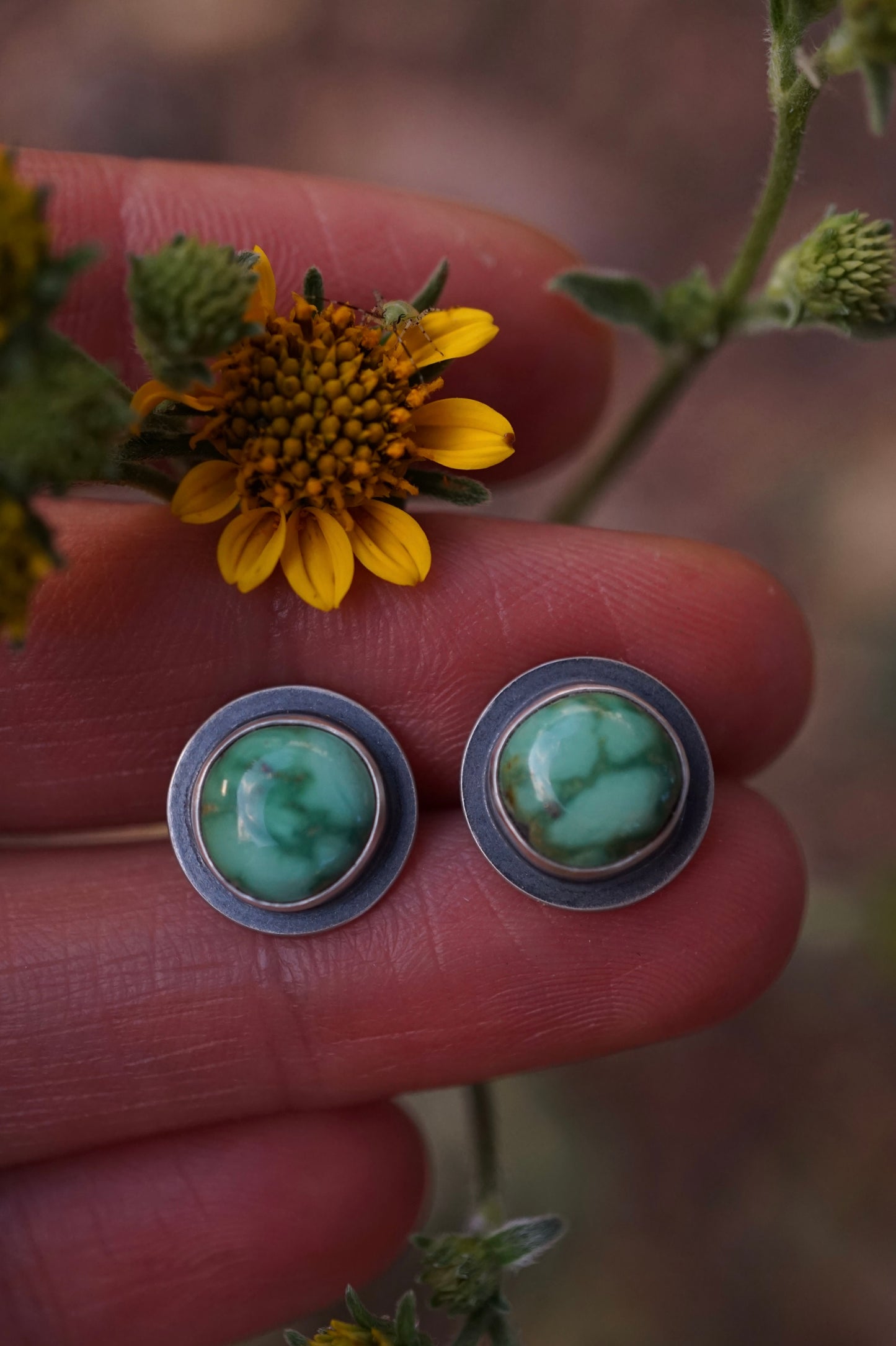 emerald valley turquoise orb studs
