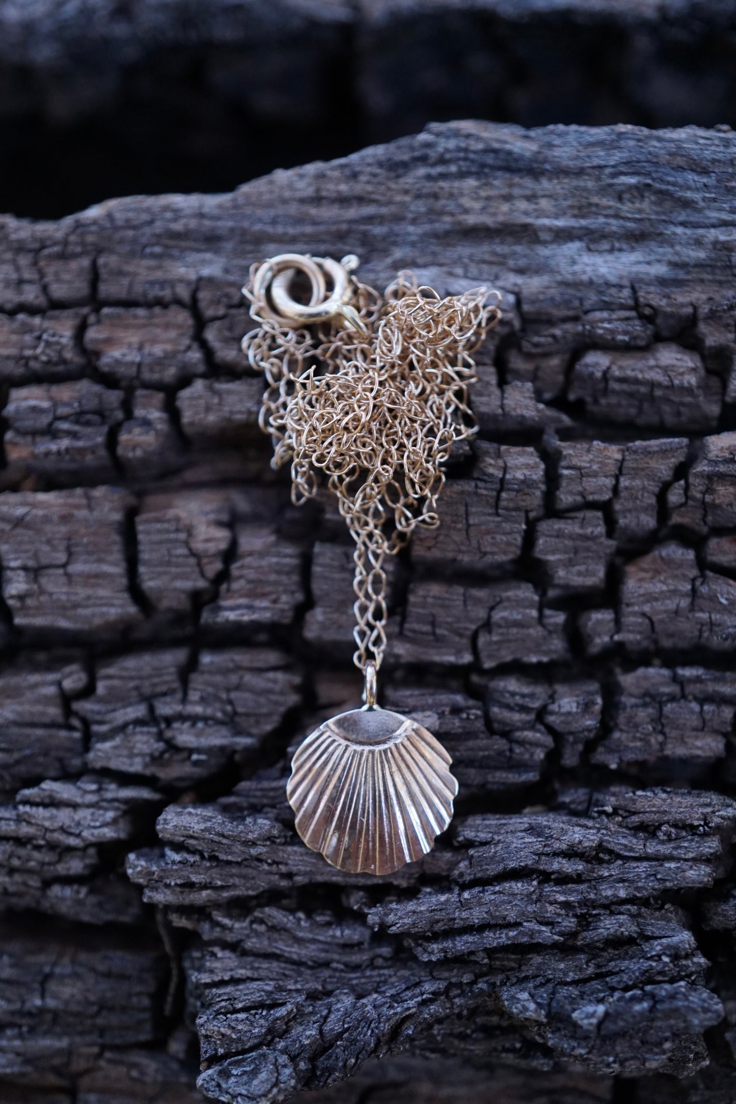 solid 14k golden seashell necklace