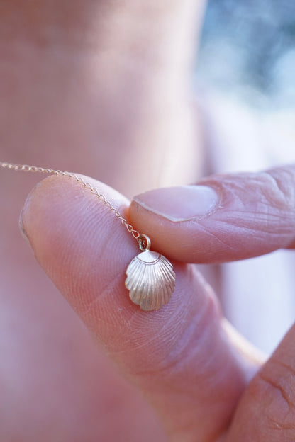 solid 14k golden seashell necklace