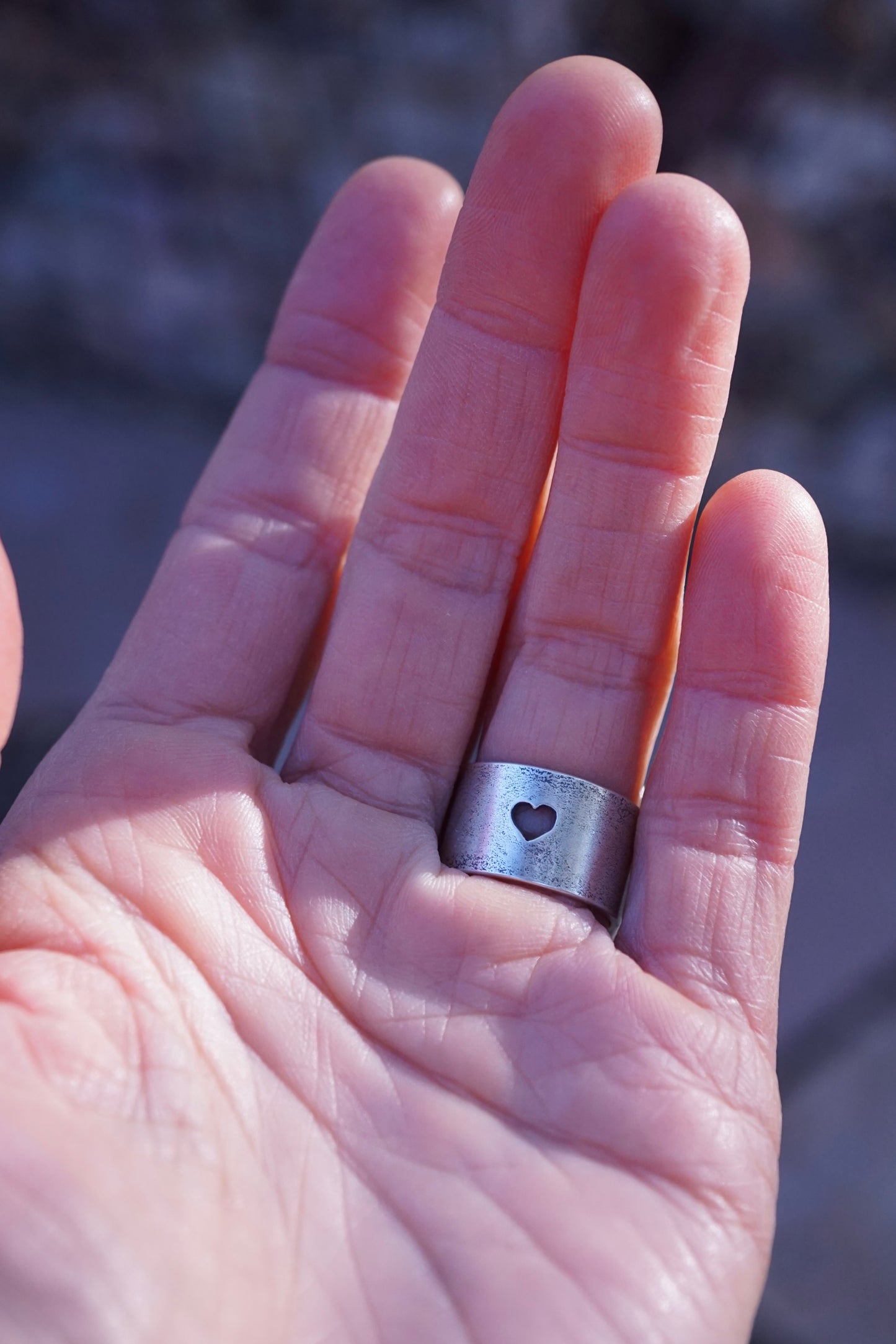 landscape jasper ring with 🩶 band - 5.75