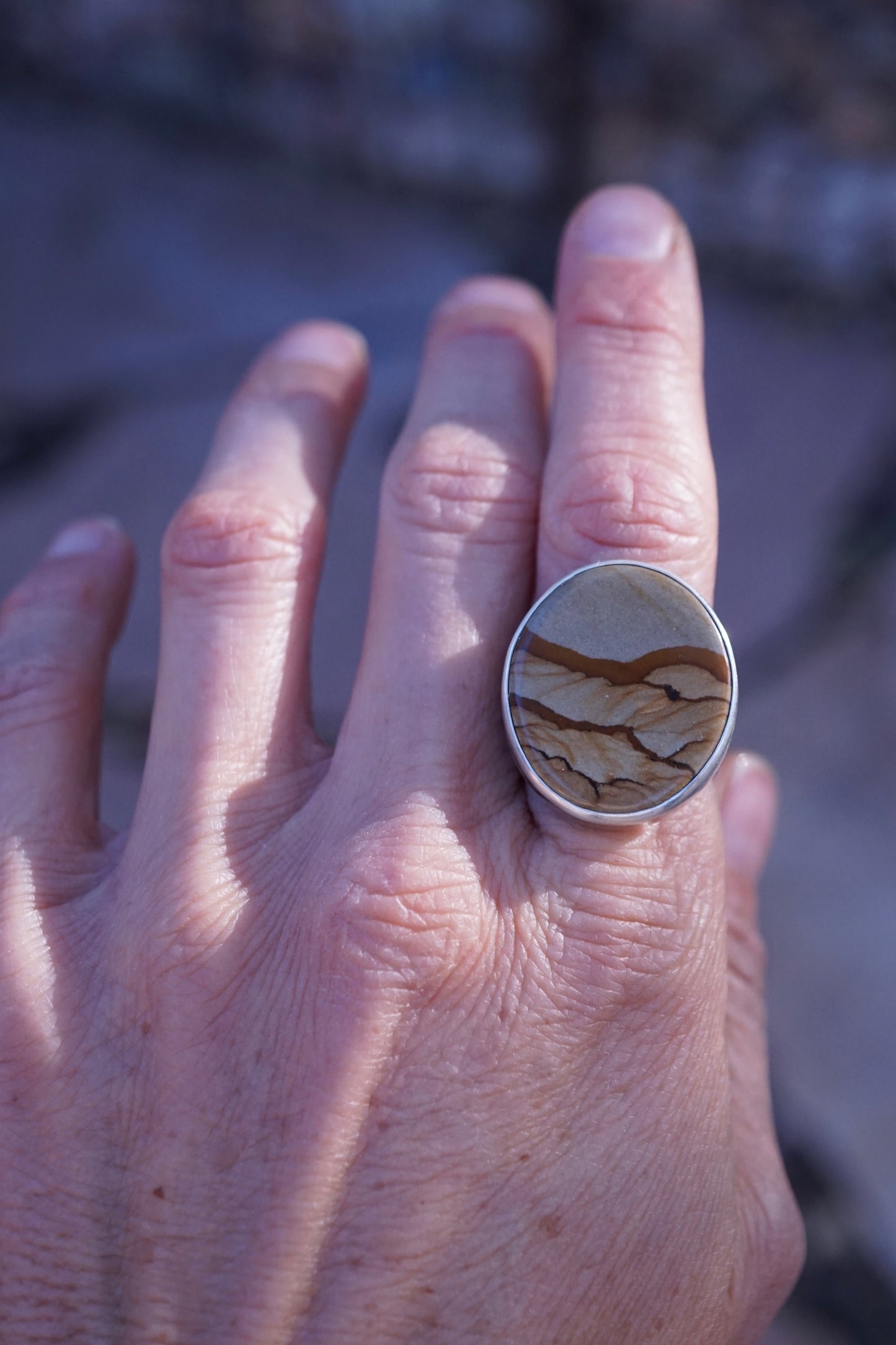 landscape jasper ring with 🩶  band - 8