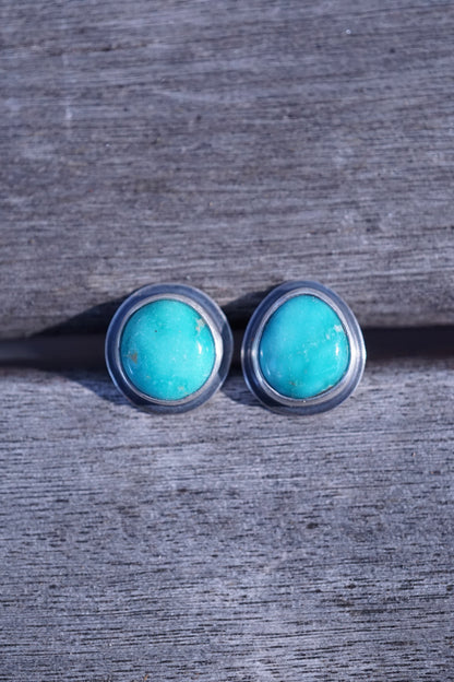 blue sonoran turquoise studs