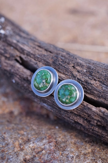rich green sonoran gold turquoise studs