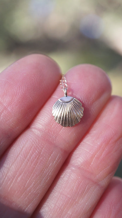 solid 14k golden seashell necklace