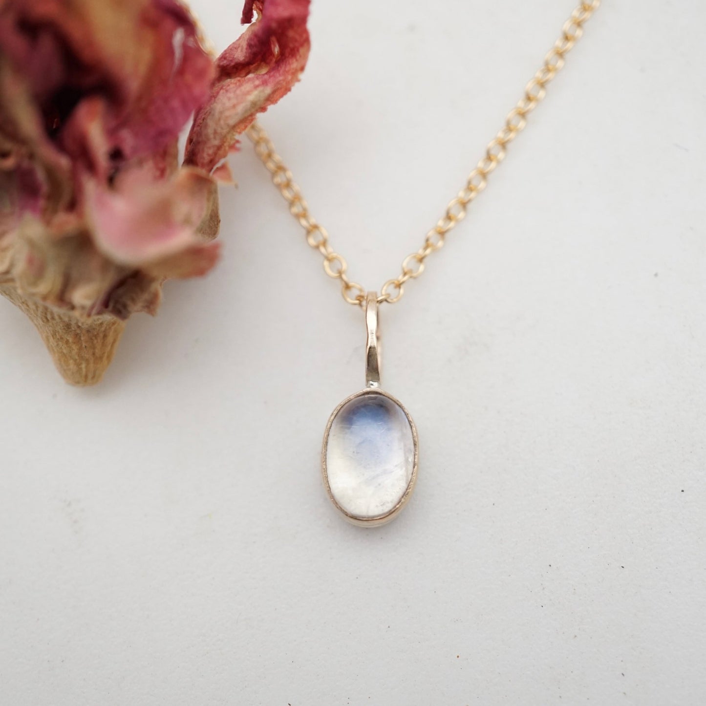 teeny tiny 14k GOLD and rainbow moonstone necklace - Lumenrose